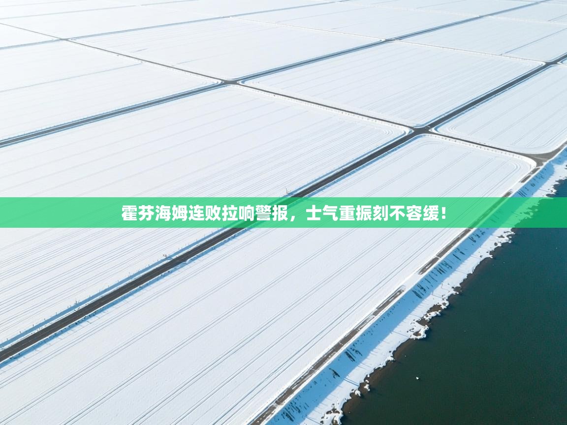 霍芬海姆连败拉响警报,士气重振刻不容缓! 第2张